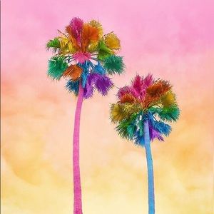 Meet your Posher, Brandy